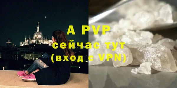молекула духа Бугульма