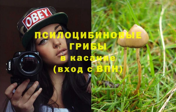 PSILOCYBIN Володарск