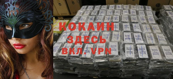 ECSTASY Бородино
