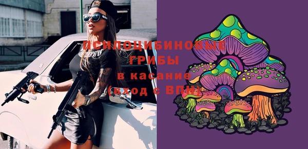 шишки Волоколамск