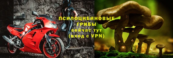 PSILOCYBIN Володарск
