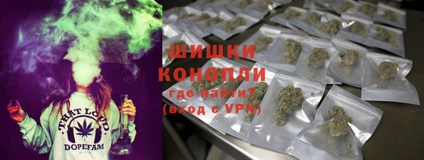 шишки Волоколамск